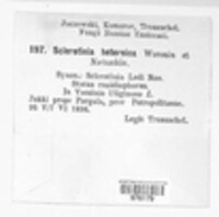 Stromatinia heteroica image